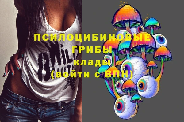 кокс Карпинск