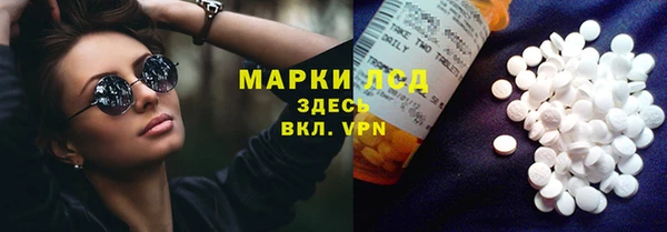 стафф Касимов