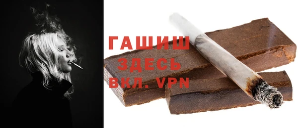 стафф Касимов