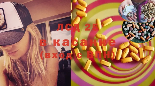стафф Касимов