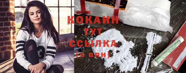 стафф Касимов