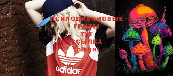 кокс Карпинск