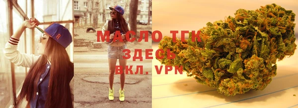 стафф Касимов