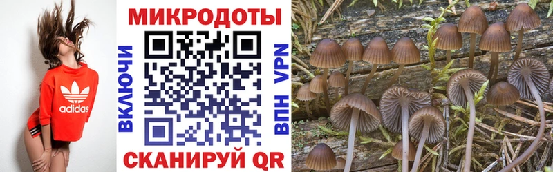 Галлюциногенные грибы мицелий  Купить  Мончегорск 